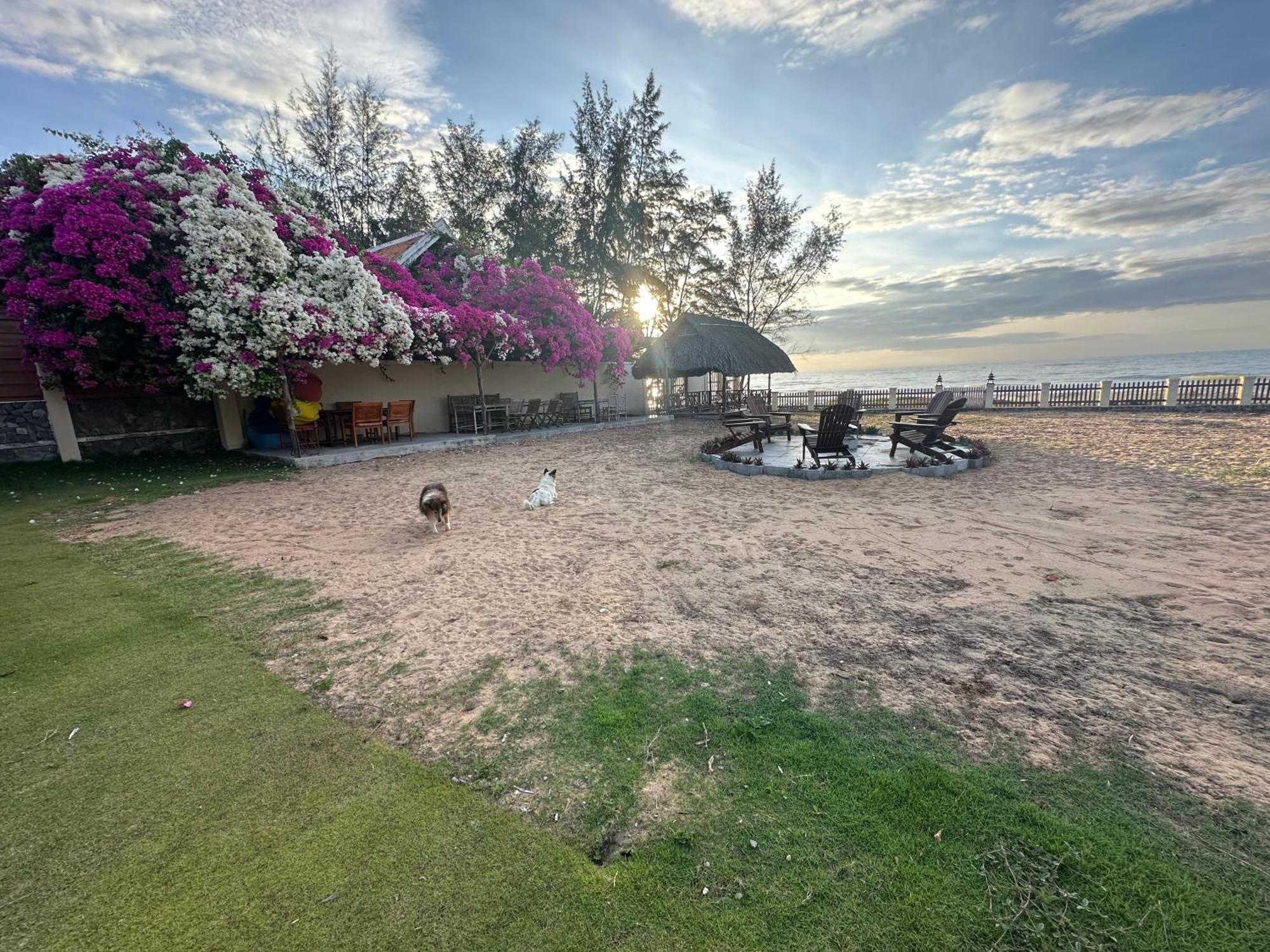 Orchid Boutique Beach Resort Phan Thiet Exterior foto